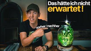 Flaschengarten anlegen DIY + 70 Tage Update | Pott Planter | Wabi kusa mini Terrarium