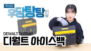 오늘부터 아이스백은 너야. 멋있다~ 디월트 (DEWALT DG5540)