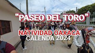 "Calenda" Paseo del Toro en Natividad Oaxaca,  en su fiesta Patronal 2024