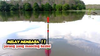 BELUM TERJAMAH PEMANCING LAIN‼️tarikan ikanya ganas, mancing nila nyobok di waduk riam kanan