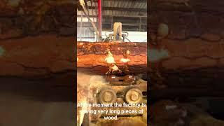 Long wood //factory Wood/Wood crusher machine