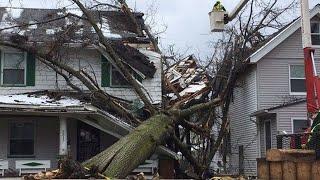 Dangerous Tree Felling Fails With Chainsaw, Big Tree Removal Fails Falling On Houses