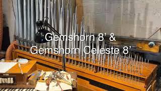 Midmer-Losh Choir division Gemshorn & Gemshorn Celeste demonstration