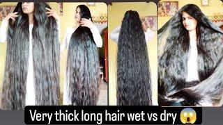 wet vs dry hair playing video  #hairstyle #bun #wethair #hairbun #longhair #hairplay #thickhair