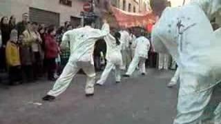 Tai Chi display at Chinese New Year Parade in Paris 2008