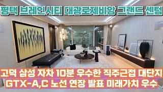 평택 브레인시티 대광로제비앙 그랜드 센텀 고덕 삼성 자차10분 뛰어난직주근접 미분양 아파트
