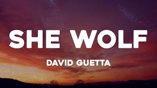 David Guetta - She Wolf (Lyrics)