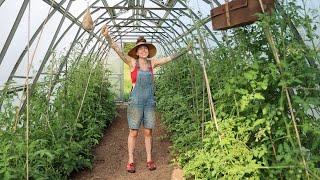 Why I Love My Greenhouse: What I Grow Inside! 