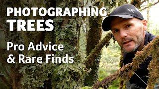 Photographing Trees with Simon Baxter - Pro Advice & Rare Finds