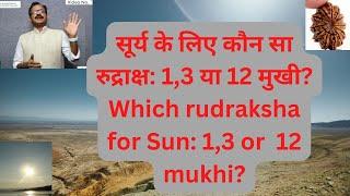 Which rudraksha for  SUN : 1,3 or 12 mukhi सूर्य के लिए कौन सा रुद्राक्ष: 1,3, या 12 मुखी?Video 1043