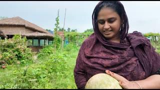 বাগান পরিষ্কার করতে গিয়ে বড় একটা সারপ্রাইজ পেলাম | Doyel Agro