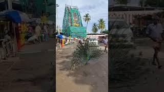 Siruvapuri Murugan Temple #shorts #murugantemple