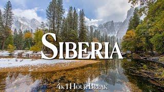 Siberia in 4k 120fps Relaxation Film - 1 Hour Break, Relax & Chill | Let's Explore Siberia with Us