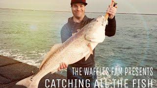 Catching Monster Redfish: The Waffles Fam Film “Catching All The Fish” Trailer 1