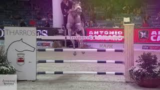 CSI5*- W Jumping Verona 2019