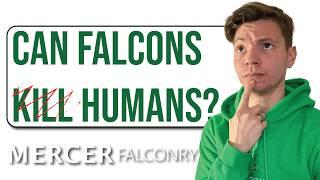 Bird Trainer Answers Falconry Questions | Tech support