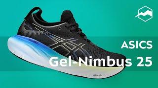 Кроссовки ASICS Gel-Nimbus 25. Обзор