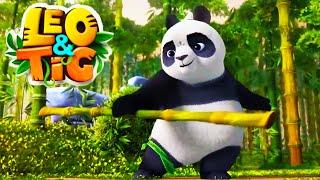 LEO and TIG   Collection of all new episodes — The Bamboo Master  Moolt Kids Toons Happy Bear