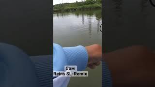 Сом на силикон. Рыбалка на спиннинг #fishing #рыбалка #силиконовыеприманки