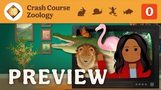  Crash Course Zoology Preview