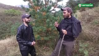 07102019  МАРШРУТ  МАГО ЕРДЫ  ХАМХОЕВ