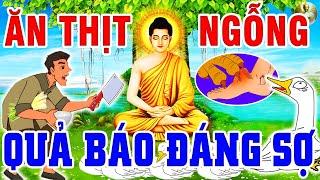 Nhân Quả Báo Ứng, ĂN THỊ NGỖNG Chịu Quả Báo Sống Không Bằng C.h.ế.t - Cái Kết Cho Việc Sát Sinh