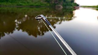 This Muddy River Surprised Me Again! (Fast Action Carp Fishing)