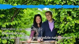 NoO 12: Zielone ściany, czyli jaki żywopłot w ogrodzie naturalnym?