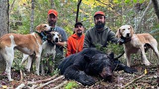 First Run of Bear Season