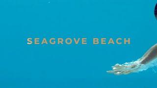 Vacation at Seagrove Beach