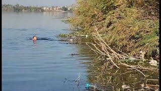 Nile Crossing Swim 2023