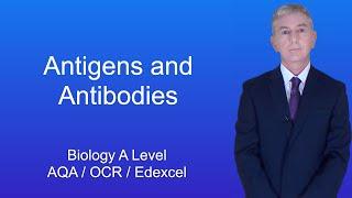 A Level Biology Revision "Antigens and Antibodies"