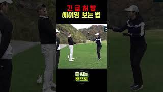 에이밍 보는 방법 #골프팁 #golf #배경은프로 #알쓸골지 #배경은프로 #에이밍  #골프