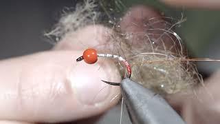 Brook Trout Magnet!- Essential Fly Pattern!