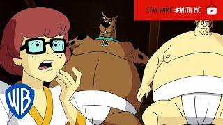 Scooby-Doo! | The Ninjas Attack the Gang! | WB Kids