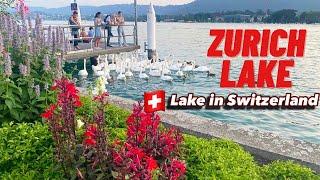 Zürich Lake , Switzerland | Zurich Lake in the summer ! Swiss View