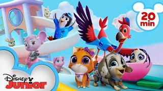 T.O.T.S. Season 3 Highlights | 20 Minute Compilation | T.O.T.S. | @disneyjr