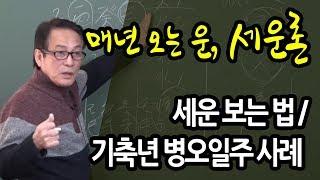 세운론? 매년 오는 운! 세운 보는 법과 기축년 병오일주 사례 - 지정도 선생님