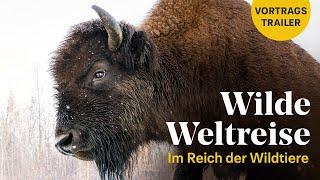 Trailer »Wilde Weltreise. Im Reich der Wildtiere«