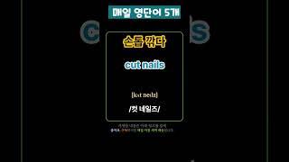 기초 영어 단어 마스터하기! 144 | 기초단어 | 기초영어단어