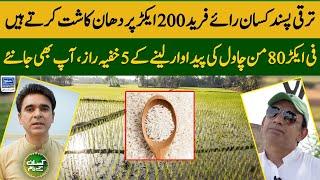 Methods of getting 80 mounds per acre rice yield in Pakistan| Kissan Kay Naam EP 23 | Suno News HD