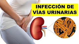 INFECCIÓN de VÍAS URINARIAS | Síntomas, Causas y Tratamiento ¿Cómo CURAR las INFECCIONES URINARIAS?