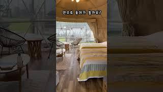 일본 시즈오카현 초등학교를 활용한 캠핑장 #shorts #시즈오카 #일본여행