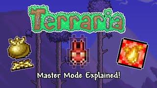 Terraria's Master Mode Fully Explained! | Terraria Explained