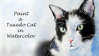 How to Paint a Tuxedo Cat in Watercolor 4 Beginners Tutorial