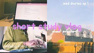 🩺studying over the course of two days - med student