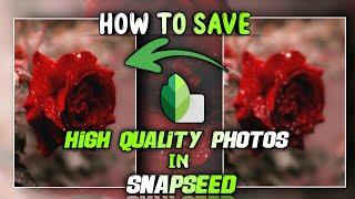 How To Save HD Quality Photos In Snapseed | Snapseed Tutorial | D2 Shots