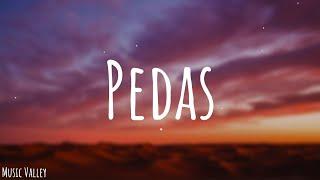 Wany Hasrita - Pedas (feat Sophia Liana) (Lyrics)