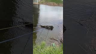ПОИСКОВЫЙ МАГНИТ! ЧТО МОЖНО ПОДНЯТЬ СО ДНА РЕКИ ПОД ДЕРЕВЕНСКИМ МОСТОМ…