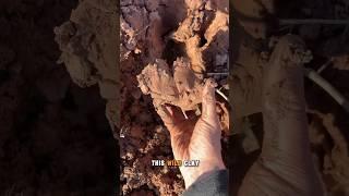 my wild clay journey